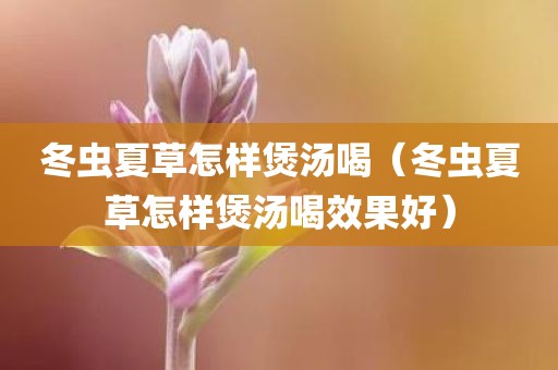 冬虫夏草怎样煲汤喝（冬虫夏草怎样煲汤喝效果好）