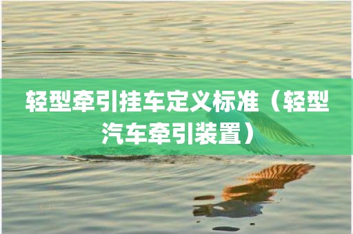轻型牵引挂车定义标准（轻型汽车牵引装置）