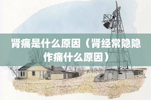 肾痛是什么原因（肾经常隐隐作痛什么原因）