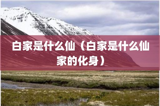 白家是什么仙（白家是什么仙家的化身）