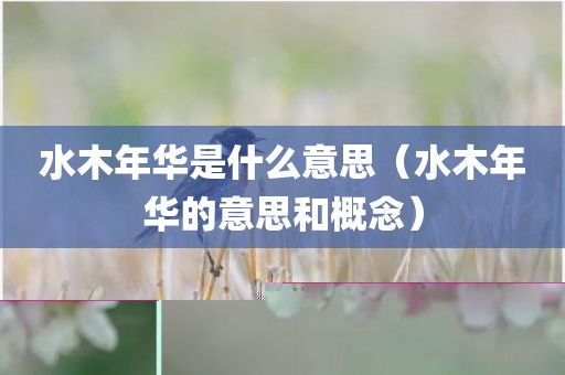 水木年华是什么意思（水木年华的意思和概念）