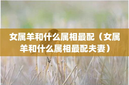 女属羊和什么属相最配（女属羊和什么属相最配夫妻）