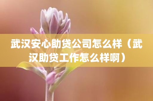 武汉安心助贷公司怎么样（武汉助贷工作怎么样啊）