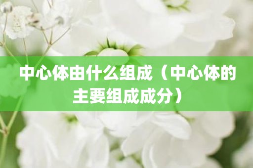 中心体由什么组成（中心体的主要组成成分）
