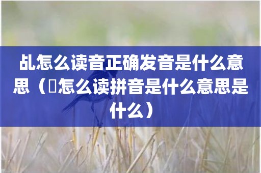 乩怎么读音正确发音是什么意思（跲怎么读拼音是什么意思是什么）