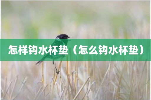 怎样钩水杯垫（怎么钩水杯垫）