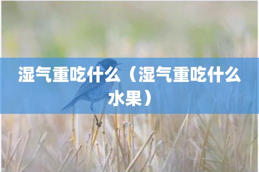 湿气重吃什么（湿气重吃什么水果）