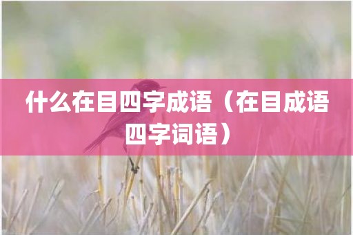 什么在目四字成语（在目成语四字词语）