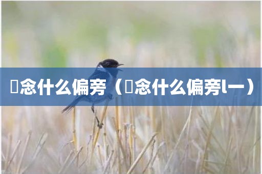 乛念什么偏旁（乛念什么偏旁l一）