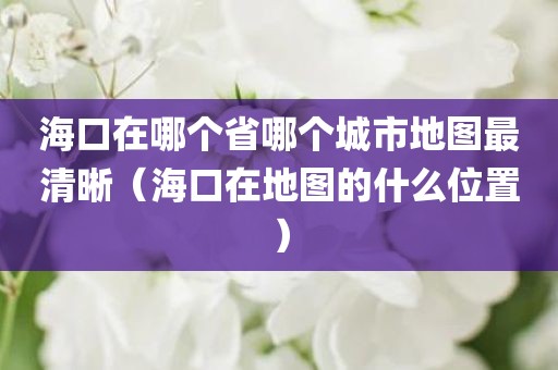 海口在哪个省哪个城市地图最清晰（海口在地图的什么位置）