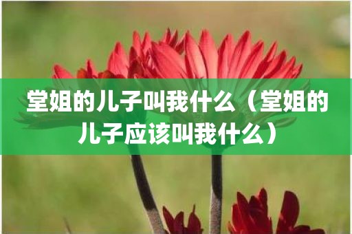 堂姐的儿子叫我什么（堂姐的儿子应该叫我什么）