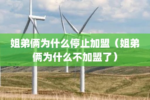 姐弟俩为什么停止加盟（姐弟俩为什么不加盟了）