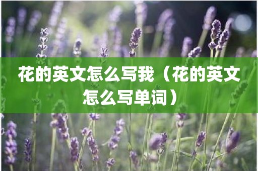 花的英文怎么写我(花的英文怎么写单词)