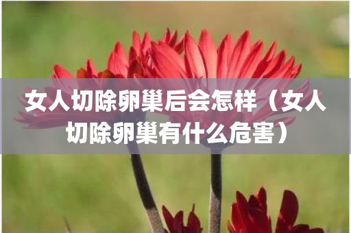 女人切除卵巢后会怎样(女人切除卵巢有什么危害) 女人切除卵巢后会怎样(女人切除卵巢有什么危害)