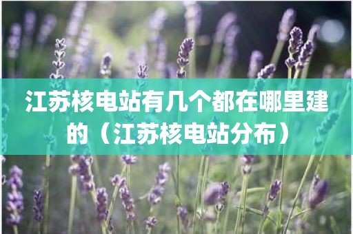 江苏核电站有几个都在哪里建的（江苏核电站分布）