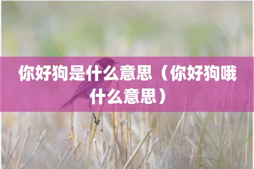 你好狗是什么意思（你好狗哦什么意思）