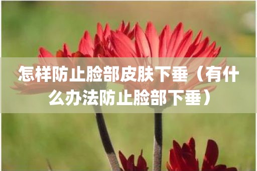 怎样防止脸部皮肤下垂（有什么办法防止脸部下垂）