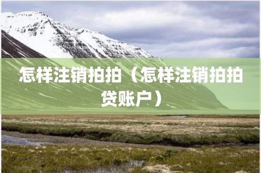 怎样注销拍拍（怎样注销拍拍贷账户）