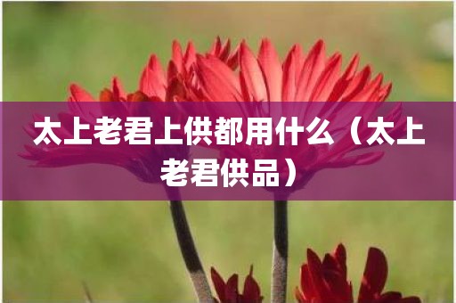 太上老君上供都用什么（太上老君供品）