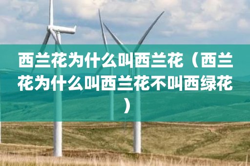 西兰花为什么叫西兰花（西兰花为什么叫西兰花不叫西绿花）