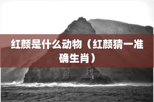 红颜是什么动物（红颜猜一准确生肖）