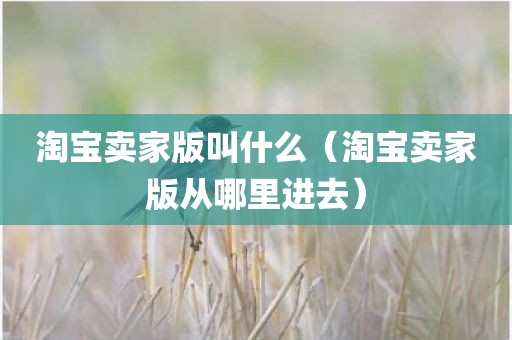 淘宝卖家版叫什么（淘宝卖家版从哪里进去）