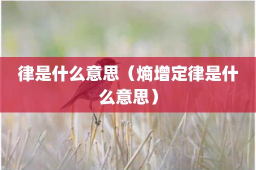 律是什么意思（熵增定律是什么意思）