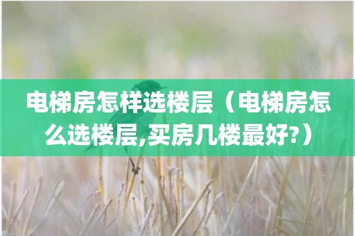 电梯房怎样选楼层（电梯房怎么选楼层,买房几楼最好?）