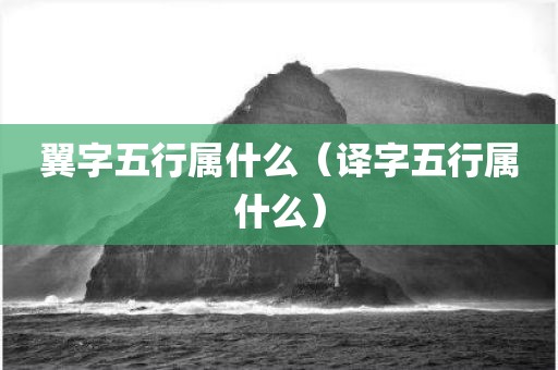 翼字五行属什么（译字五行属什么）