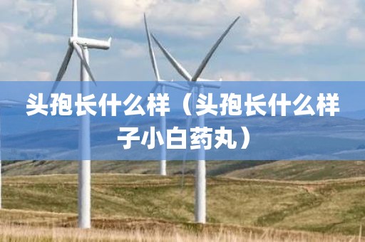 头孢长什么样（头孢长什么样子小白药丸）