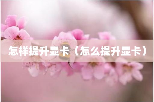 怎样提升显卡（怎么提升显卡）