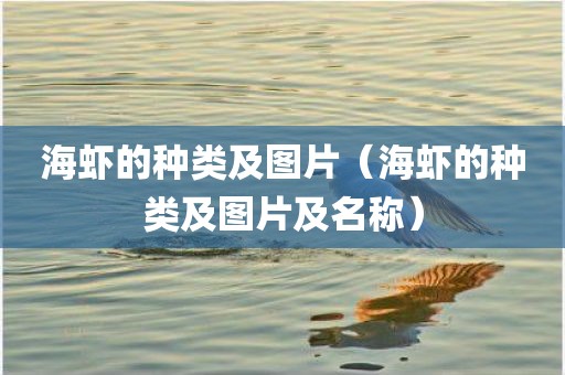 海虾的种类及图片(海虾的种类及图片及名称) 海虾的种类及图片(海虾的种类及图片及名称)