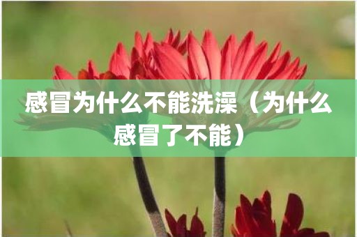 感冒为什么不能洗澡（为什么感冒了不能）