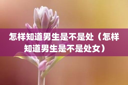 怎样知道男生是不是处（怎样知道男生是不是处女）