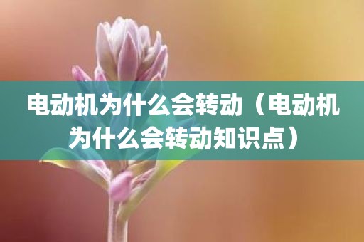 电动机为什么会转动（电动机为什么会转动知识点）
