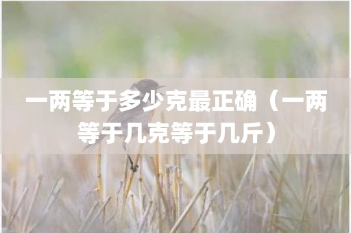 一两等于多少克最正确（一两等于几克等于几斤）