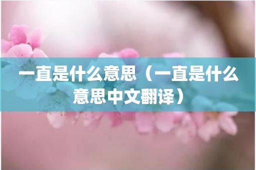 一直是什么意思（一直是什么意思中文翻译）