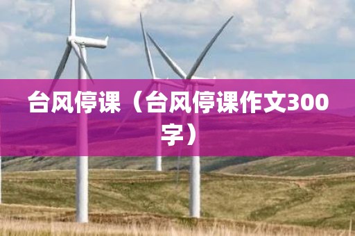 台风停课（台风停课作文300字）
