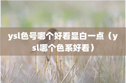 ysl色号哪个好看显白一点(ysl哪个色系好看)