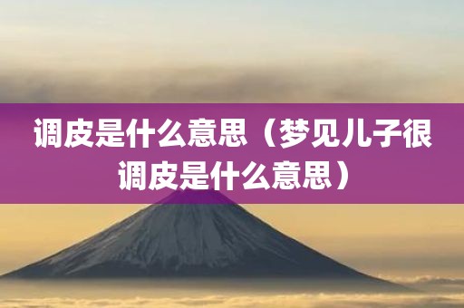 调皮是什么意思（梦见儿子很调皮是什么意思）
