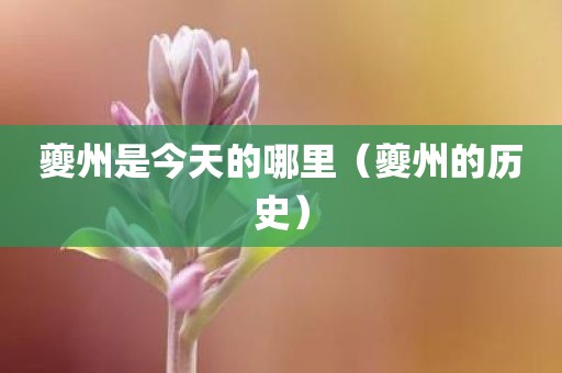 夔州是今天的哪里（夔州的历史）