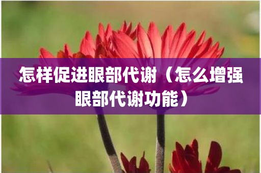 怎样促进眼部代谢（怎么增强眼部代谢功能）