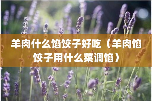 羊肉什么馅饺子好吃（羊肉馅饺子用什么菜调馅）