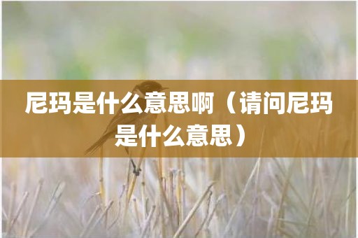 尼玛是什么意思啊（请问尼玛是什么意思）
