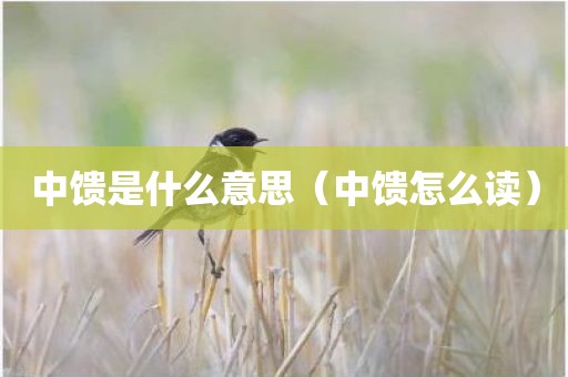 中馈是什么意思（中馈怎么读）