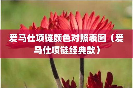 爱马仕项链颜色对照表图（爱马仕项链经典款）