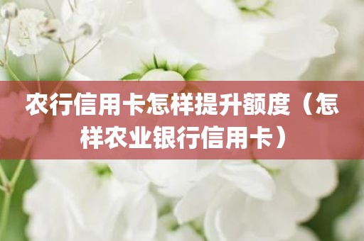 农行信用卡怎样提升额度（怎样农业银行信用卡）