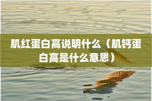 肌红蛋白高说明什么（肌钙蛋白高是什么意思）
