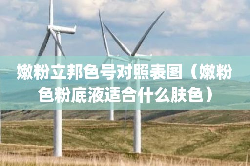 嫩粉立邦色号对照表图（嫩粉色粉底液适合什么肤色）