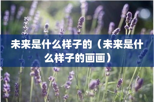 未来是什么样子的（未来是什么样子的画画）